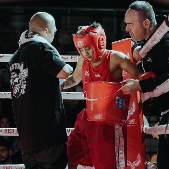 Boxer in the Red Owl corner